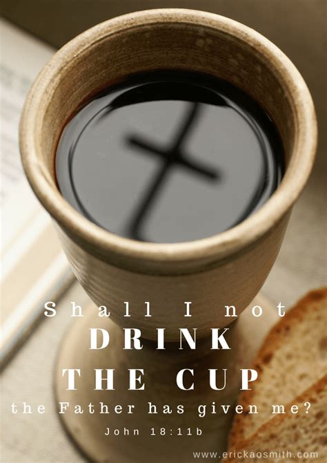 kan eye par row your jar sure|John 18:11 .